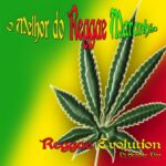 Rasta Reggae Sticker Weed 420 Decal 17