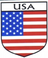 USA Flag Crest Decal Sticker