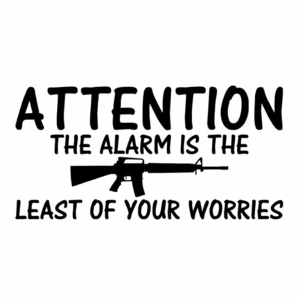 Alarm-b-font-Is-The-Least-Of-Your-Worries-Gun decal