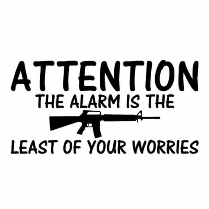 Alarm-b-font-Is-The-Least-Of-Your-Worries-Gun decal