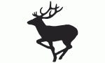 023 Deer Decal