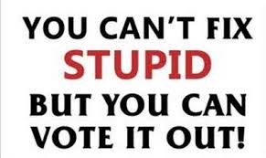 cant fix stupid but vote out sticker