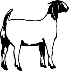 goat farming decal 2
