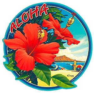 HAWAIIAN FLOWER STICKER RED