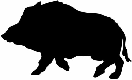 Hog Hunting Decal 33