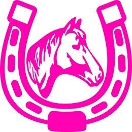 HORSESHOE WITH HORSE HEAD RODEO DECAL