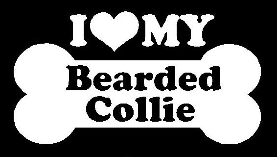 I Love My Bearded Collie