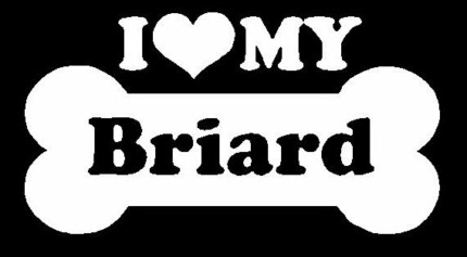 I Love My Briard