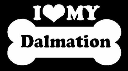 I Love My Dalmation