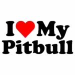 i love my pitbull color sticker