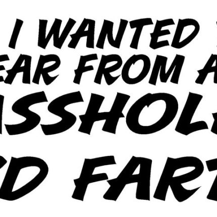 If I Wanted To Hear From An Asshole Adhesive Vinyl Decal