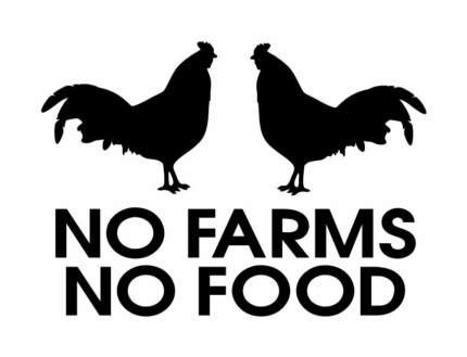 no farms no food die cut decal CHICKENS
