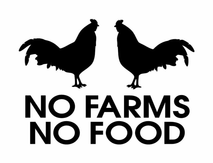 no farms no food die cut decal CHICKENS