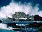 Oceans and Surf Wall Graphic Decals 13