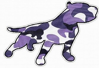 PITBULL STICKER FILLS camo purple
