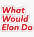 WHAT WOULD ELON DO RED AND WHITE STICKER
