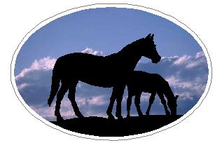 Oval Horse Decal