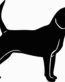 Beagle Dog Decal - 15C