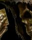 Dragons and Skulls Wall Decals 13