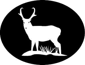 Antelope Oval Decal
