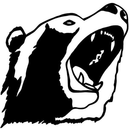 bear head decal 5