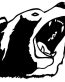 bear head decal 5