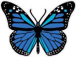 butterfly sticker BLUE color