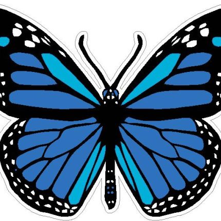 butterfly sticker BLUE color