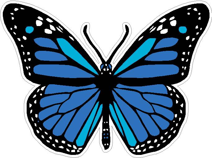 butterfly sticker BLUE color