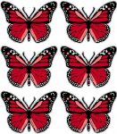 butterfly sticker RED - 6 PACK