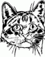 Cat Decals 28