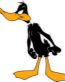 Daffy 04