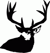 Deer Decal 05