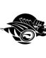 Dodge Rumble Bee RIGHT
