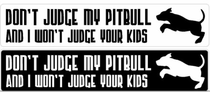 dont judge my pitbull 2 bumper stickers