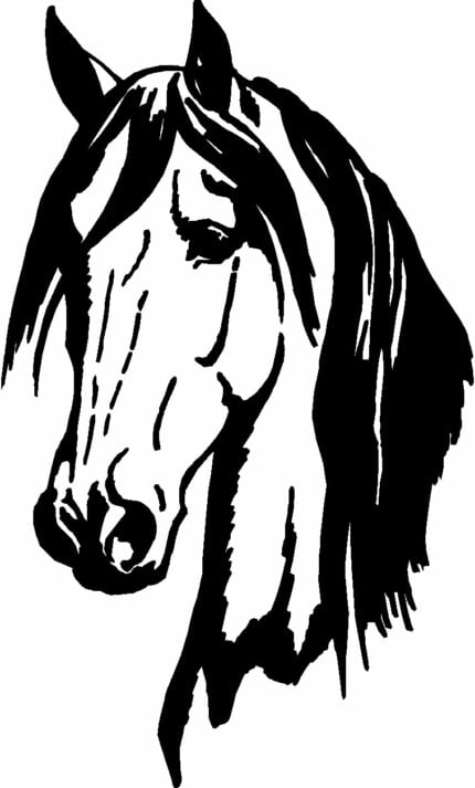 Horses Horse Animal Vinyl Car or WALL Decal Stickers 17