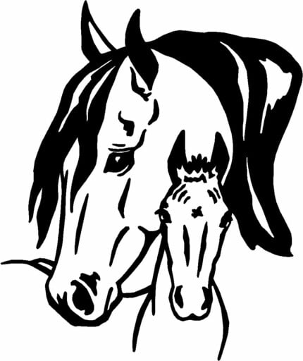 Horses Horse Animal Vinyl Car or WALL Decal Stickers 23