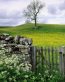 Landscape Vinyl Wall Graphic Decals 41