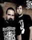 NAPALM DEATH Color Band Decal