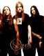 OPETH 2 Color Band Decal