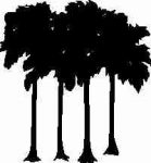 Palm Tree Decal 10