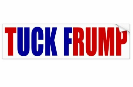 2020 TRUMP political sticker  20