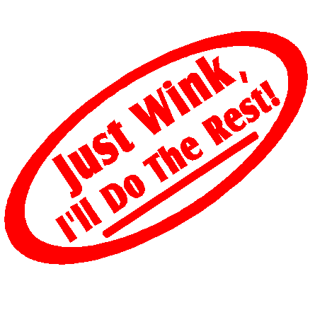 Just Wink decal - 810