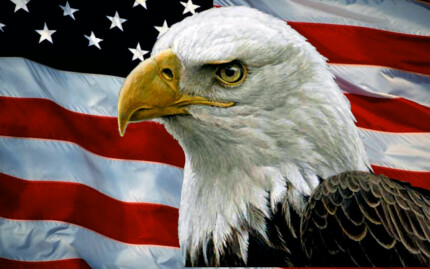 American-Flag-and-bald-eagle STICKER 2