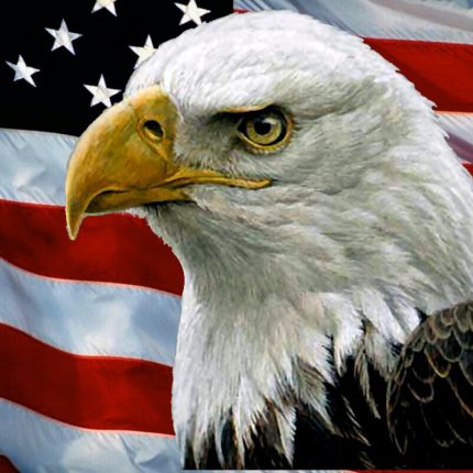 American-Flag-and-bald-eagle STICKER 2