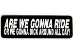 are-we-going-to-ride-or-are-we-going-to-dick-around-all-day-girl sticker