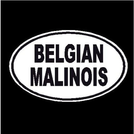 Belgian Malinois Oval Decal