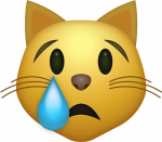 CAT Crying Emoji