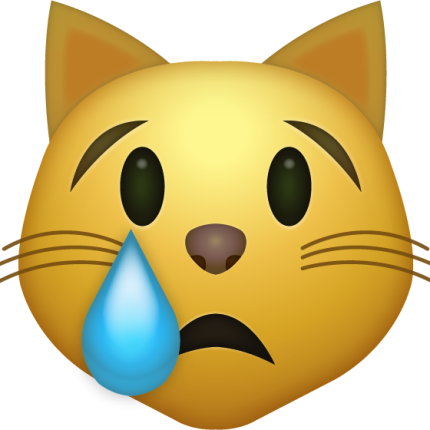 CAT Crying Emoji