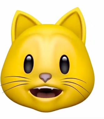 cat head yellow emoji